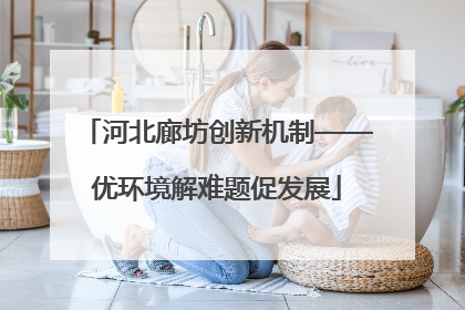 河北廊坊创新机制——优环境解难题促发展