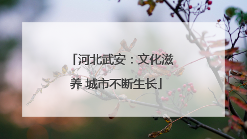河北武安：文化滋养 城市不断生长