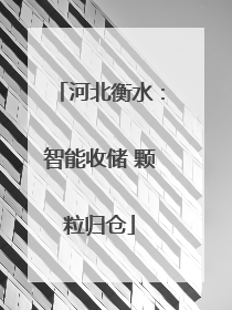 河北衡水：智能收储 颗粒归仓