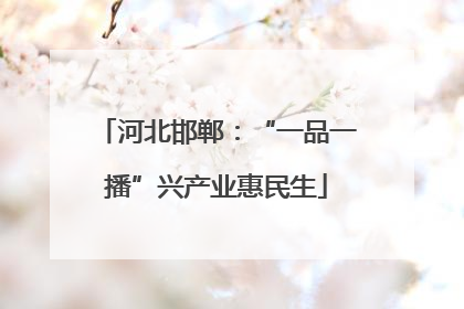 河北邯郸：“一品一播”兴产业惠民生