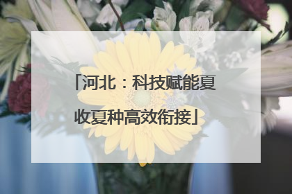 河北：科技赋能夏收夏种高效衔接
