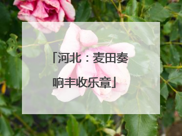 河北：麦田奏响丰收乐章