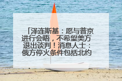 泽连斯基：愿与普京进行会晤，不希望美方退出谈判！消息人士：俄方停火条件包括北约“书面”保证不东扩