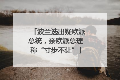 波兰选出疑欧派总统，亲欧派总理称“寸步不让”