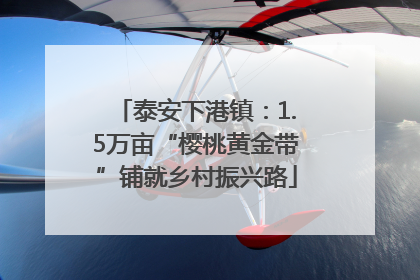 泰安下港镇：1.5万亩“樱桃黄金带”铺就乡村振兴路