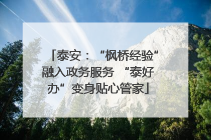 泰安：“枫桥经验”融入政务服务 “泰好办”变身贴心管家