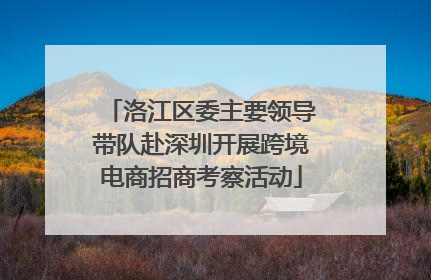 洛江区委主要领导带队赴深圳开展跨境电商招商考察活动