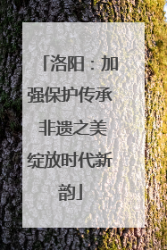 洛阳：加强保护传承 非遗之美绽放时代新韵