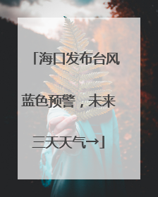 海口发布台风蓝色预警，未来三天天气→