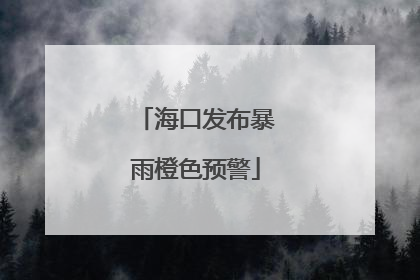 海口发布暴雨橙色预警