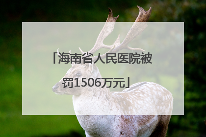 海南省人民医院被罚1506万元