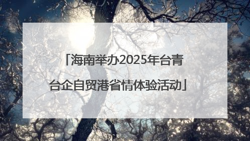 海南举办2025年台青台企自贸港省情体验活动