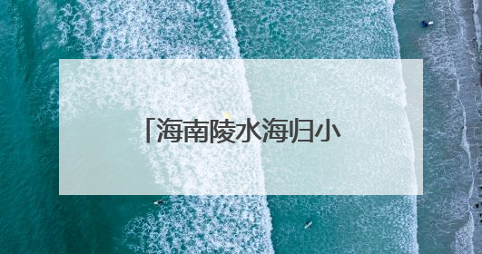 海南陵水海归小镇举办生态共建大会，数智赋能产业共创出海新未来