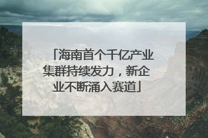 海南首个千亿产业集群持续发力，新企业不断涌入赛道