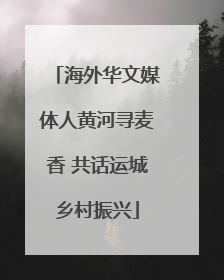 海外华文媒体人黄河寻麦香 共话运城乡村振兴