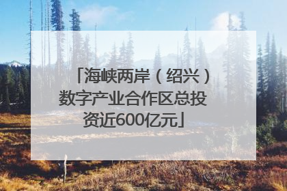 海峡两岸（绍兴）数字产业合作区总投资近600亿元