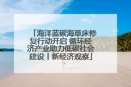 海洋蓝碳海草床修复行动开启 循环经济产业助力低碳社会建设丨新经济观察