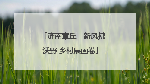 济南章丘：新风拂沃野 乡村展画卷