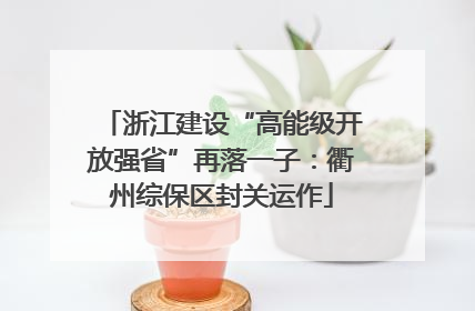 浙江建设“高能级开放强省”再落一子：衢州综保区封关运作