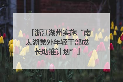 浙江湖州实施“南太湖党外年轻干部成长助推计划”