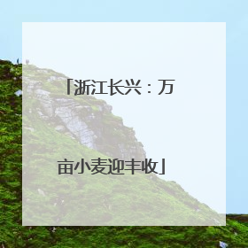 浙江长兴：万亩小麦迎丰收