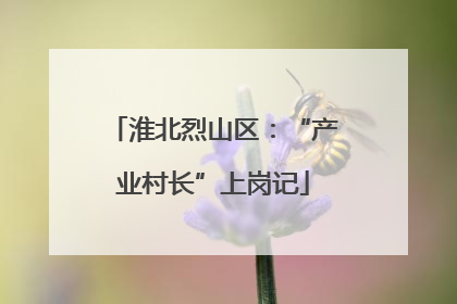 淮北烈山区：“产业村长”上岗记