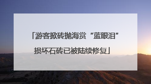 游客掀砖抛海赏“蓝眼泪” 损坏石砖已被陆续修复