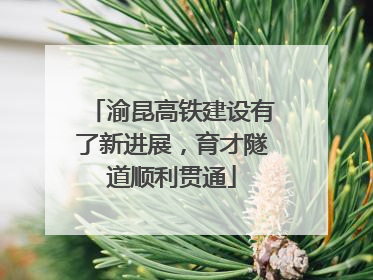 渝昆高铁建设有了新进展，育才隧道顺利贯通