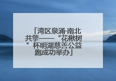 湾区泉涌·南北共擎——“花楸树”杯明湖慈善公益跑成功举办
