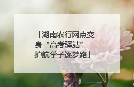 湖南农行网点变身“高考驿站” 护航学子逐梦路