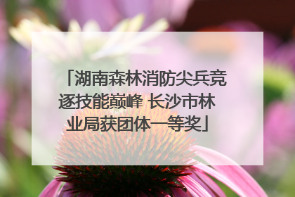 湖南森林消防尖兵竞逐技能巅峰 长沙市林业局获团体一等奖