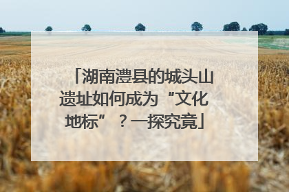 湖南澧县的城头山遗址如何成为“文化地标”？一探究竟