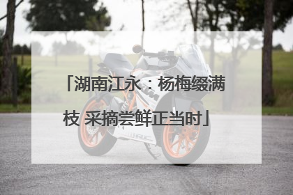 湖南江永：杨梅缀满枝 采摘尝鲜正当时