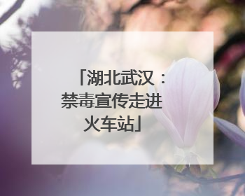 湖北武汉：禁毒宣传走进火车站