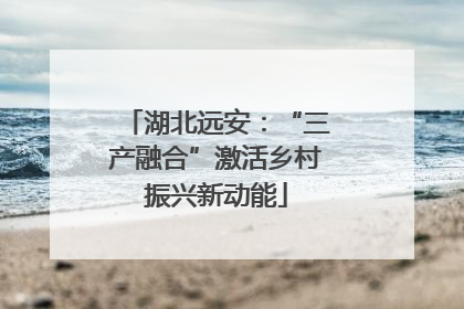 湖北远安：“三产融合”激活乡村振兴新动能