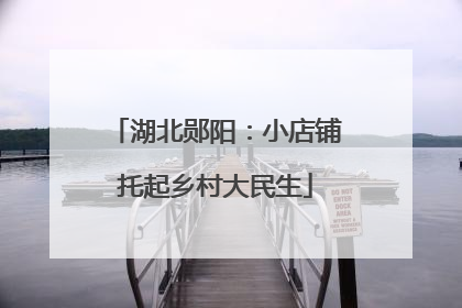 湖北郧阳：小店铺托起乡村大民生