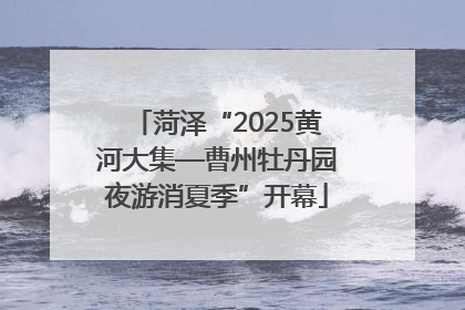 菏泽“2025黄河大集—曹州牡丹园夜游消夏季”开幕
