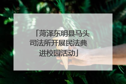 菏泽东明县马头司法所开展民法典进校园活动