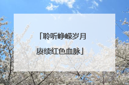 聆听峥嵘岁月 赓续红色血脉