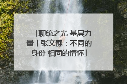 聊统之光 基层力量丨张文静：不同的身份 相同的情怀