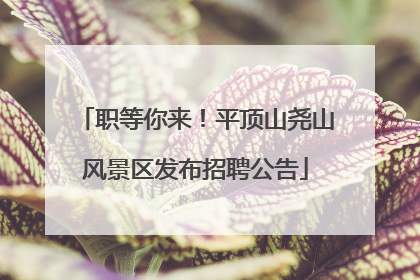 职等你来！平顶山尧山风景区发布招聘公告