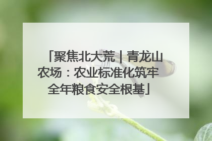 聚焦北大荒｜青龙山农场：农业标准化筑牢全年粮食安全根基