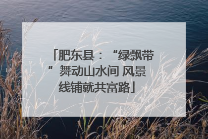 肥东县：“绿飘带”舞动山水间 风景线铺就共富路