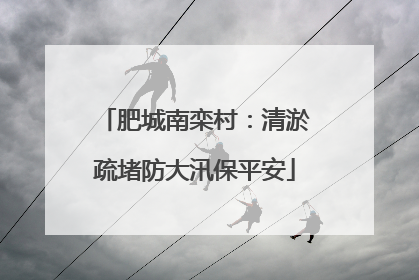 肥城南栾村：清淤疏堵防大汛保平安