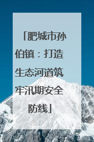 肥城市孙伯镇：打造生态河道筑牢汛期安全防线