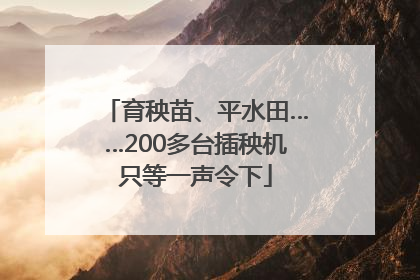 育秧苗、平水田……200多台插秧机只等一声令下