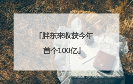 胖东来收获今年首个100亿