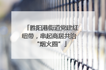 胜阳港街道党建红纽带，串起商居共治 “烟火圈”
