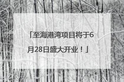 至海港湾项目将于6月28日盛大开业！