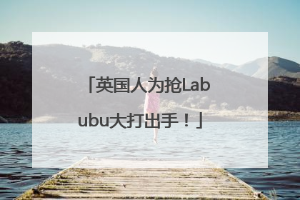 英国人为抢Labubu大打出手！